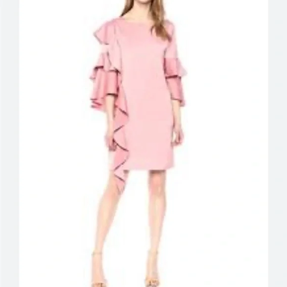 Ted Baker Pink Eicio Ruffle Ruffle Tunic Dress - Picture 3 of 15